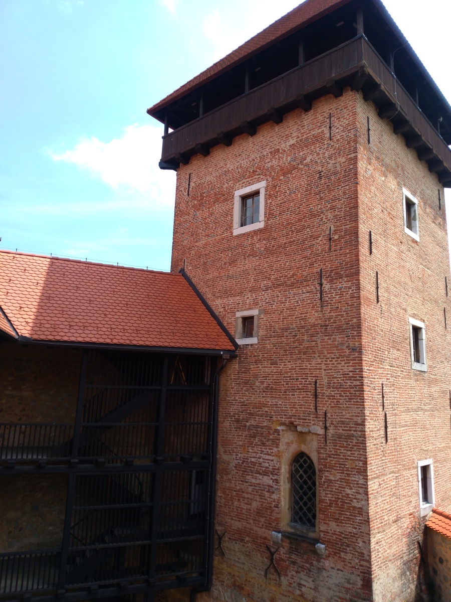 Branič kula, Dubovac Castle